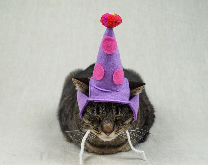 Birthday Party Hat for Cats ANY COLOR Etsy