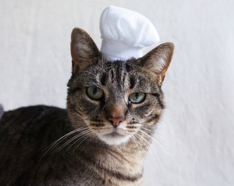 Chef Hat For Cats