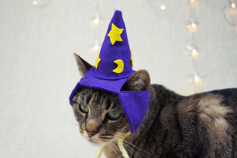 Wizard Hat for Cats Glow in the dark Etsy