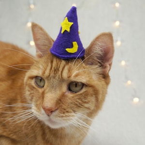 Purple Wizard Cat Hat Wizard Hat for Cat Wizard Hat for 