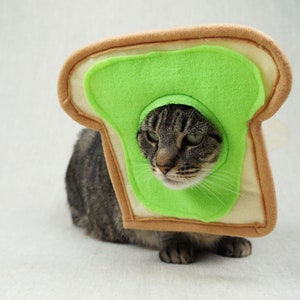 Grey and black tabby cat lying down wearing an avocado toast bread costume. The costume is for cats and is handmade with green and tan felt. background is grey canvas