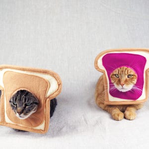 Peanut Butter and Jelly Couples Costume for Cats