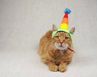 Rainbow Party Hat for Cats