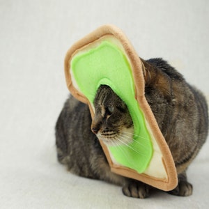 Grey and black tabby cat lying down wearing an avocado toast bread costume. The costume is for cats and is handmade with green and tan felt. background is grey canvas