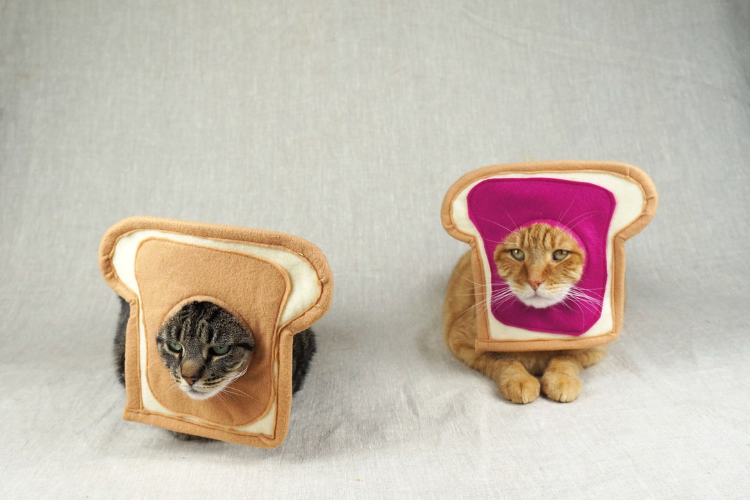 Peanut Butter and Jelly Couples Costume for Cats Etsy