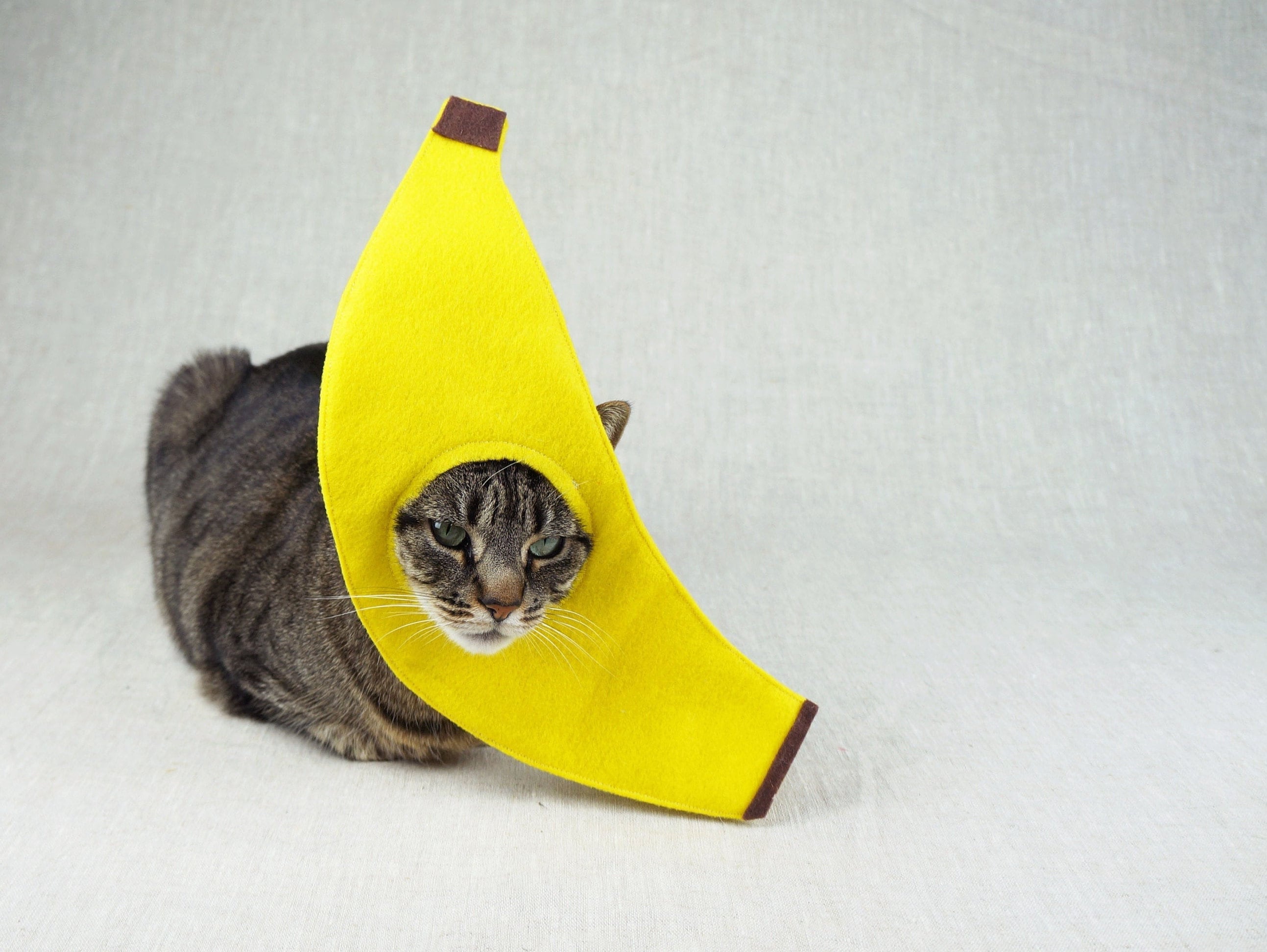 Banana cat costume sales