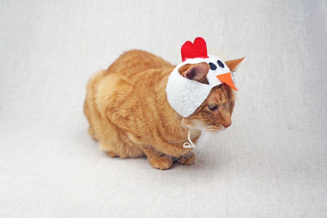 Chicken Hat for Cats