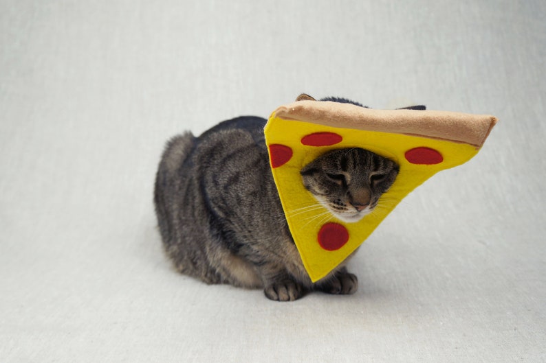 Pepperoni Pizza Costume for Cats | Etsy