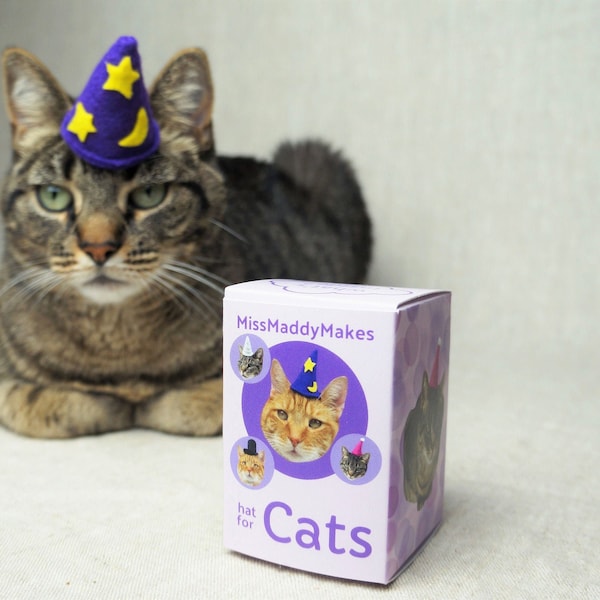 Hat for Cats Blind Box- 1 of 4 designs