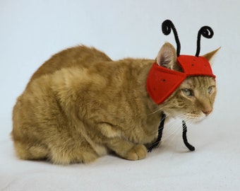 Ladybug Hat For Cats