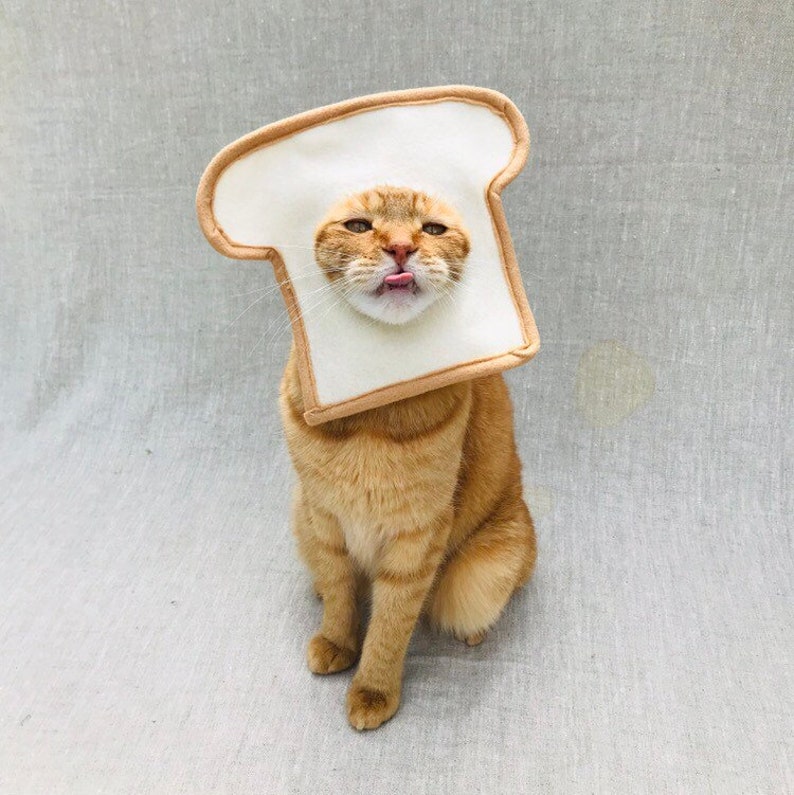 Bread Cat Costume for Cats Etsy