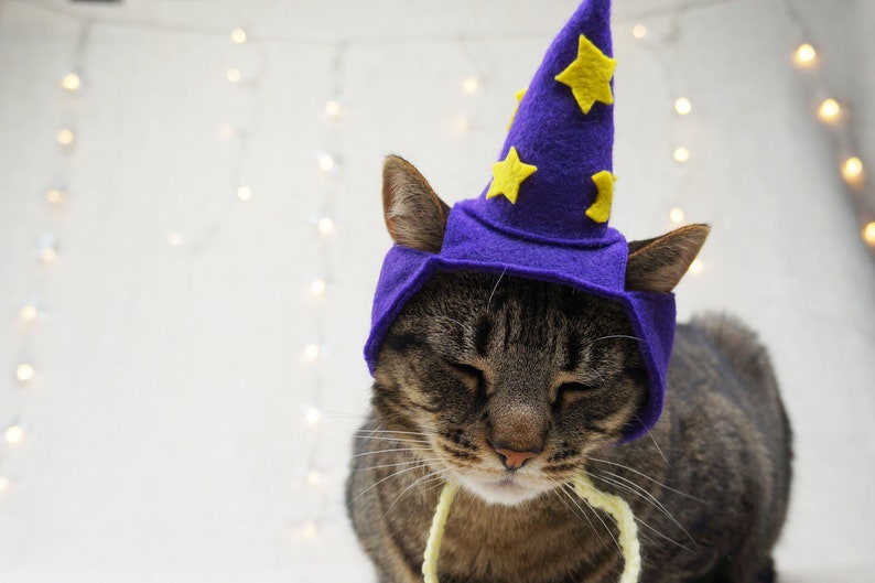 Wizard Hat for Cats Glow in the dark Etsy