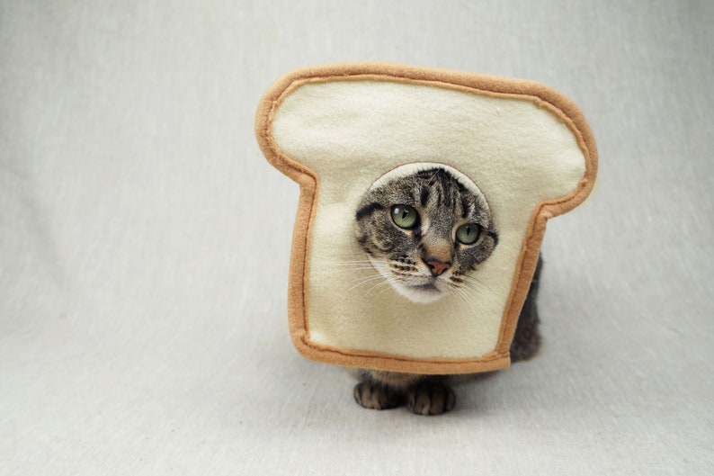 Grey and black tabby cat lying down wearing a bread costume. The costume is for cats and is handmade with white and tan felt. background is grey canvas