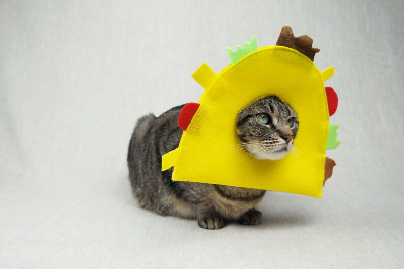Taco Costume for Cats Etsy