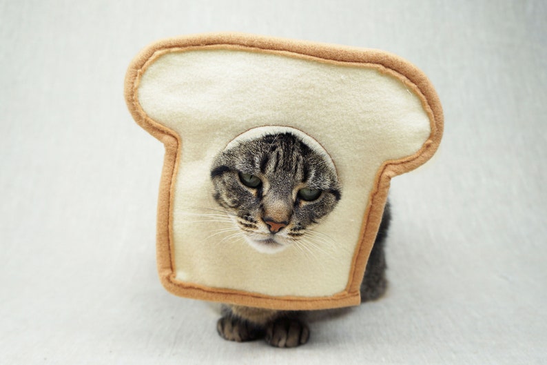 Grey and black tabby cat lying down wearing a bread costume. The costume is for cats and is handmade with white and tan felt. background is grey canvas