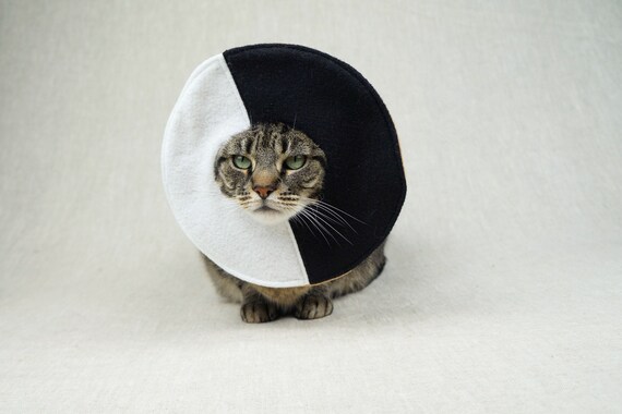 black and white cat costume