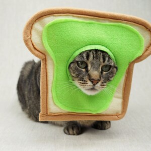 Grey and black tabby cat lying down wearing an avocado toast bread costume. The costume is for cats and is handmade with green and tan felt. background is grey canvas