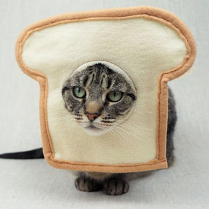 Grey and black tabby cat lying down wearing a bread costume. The costume is for cats and is handmade with white and tan felt. background is grey canvas