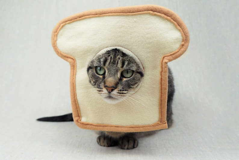 Grey and black tabby cat lying down wearing a bread costume. The costume is for cats and is handmade with white and tan felt. background is grey canvas