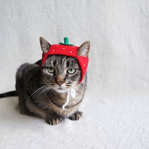 Strawberry Hat for Cats