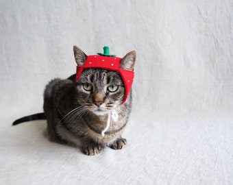 Strawberry Hat for Cats