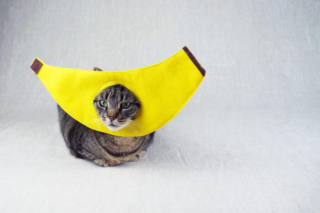 Buy Banana Costume for Cats Online in India
