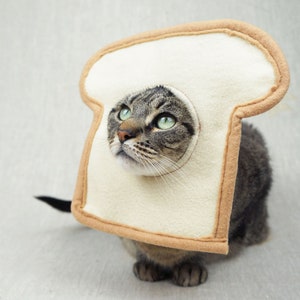 Grey and black tabby cat lying down wearing a bread costume. The costume is for cats and is handmade with white and tan felt. background is grey canvas