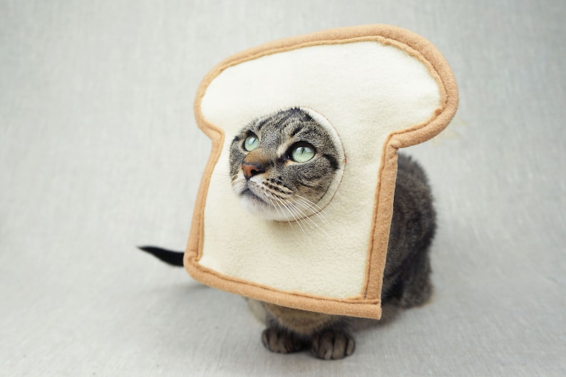 Grey and black tabby cat lying down wearing a bread costume. The costume is for cats and is handmade with white and tan felt. background is grey canvas