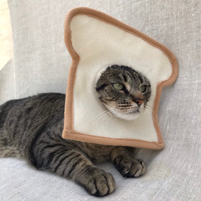 Bread Cat Costume for Cats | Etsy