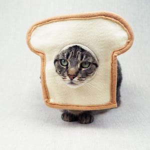 May include: A tabby cat wearing a bread-shaped costume. The costume is beige with a brown trim, and the cat's face is visible through a circular opening. The cat has green eyes and is sitting on a white surface.
