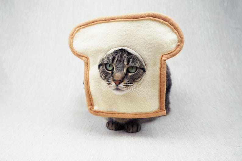 May include: A tabby cat wearing a bread-shaped costume. The costume is beige with a brown trim, and the cat's face is visible through a circular opening. The cat has green eyes and is sitting on a white surface.