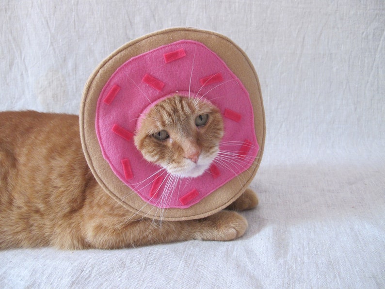 Donut Cat Costume | Etsy