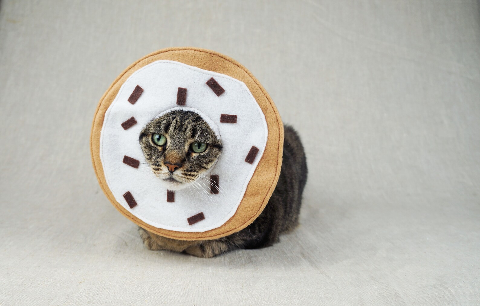 Donut Cat Costume Etsy