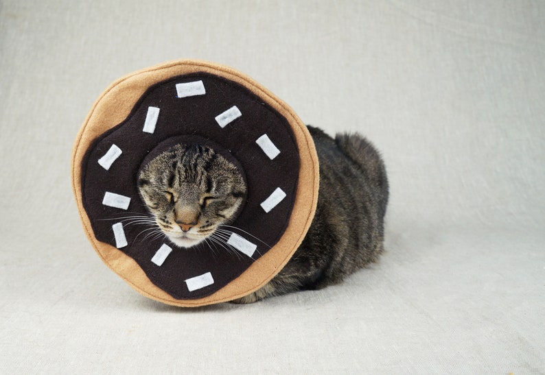 Donut Cat Costume Etsy