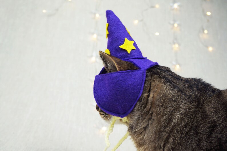 Wizard Hat for Cats Glow in the dark Etsy
