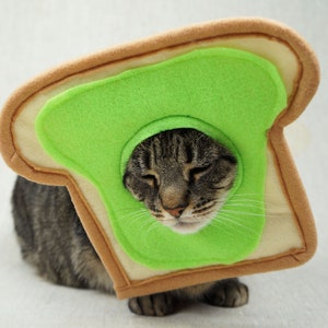 Grey and black tabby cat lying down wearing an avocado toast bread costume. The costume is for cats and is handmade with green and tan felt. background is grey canvas