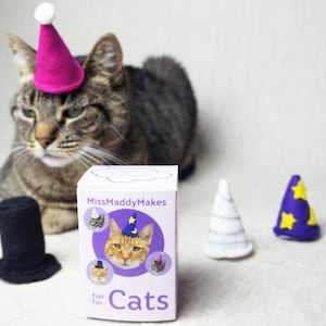 Mössa för katter Blind Box - 1 av 4 designer