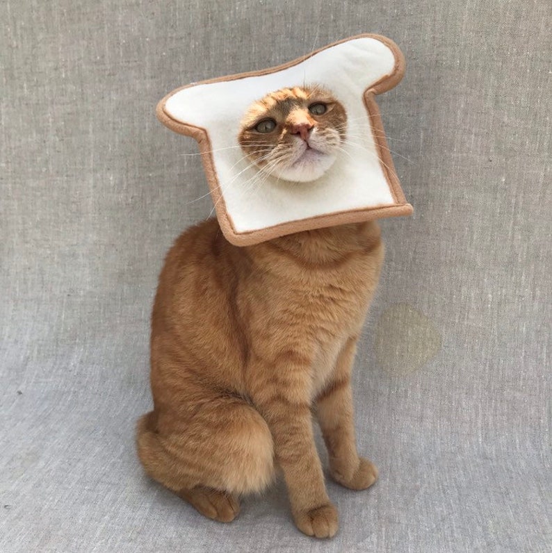 Bread Cat Costume for Cats | Etsy