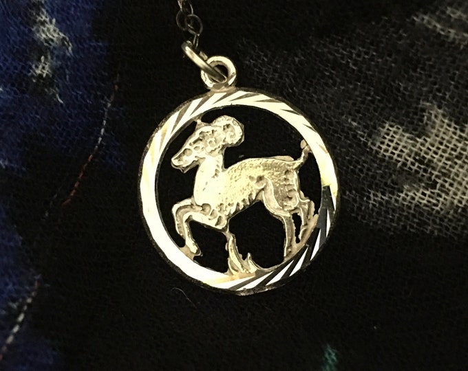 Vintage Capricorn Pendant, Vintage Capricorn necklace, Pendant,  Capricorn Jewellery, Star Sign Jewellery, Capricorn, Horoscope pendant.