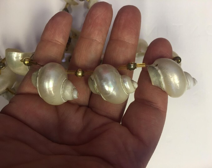 Rare vintage shell necklace with divine quality