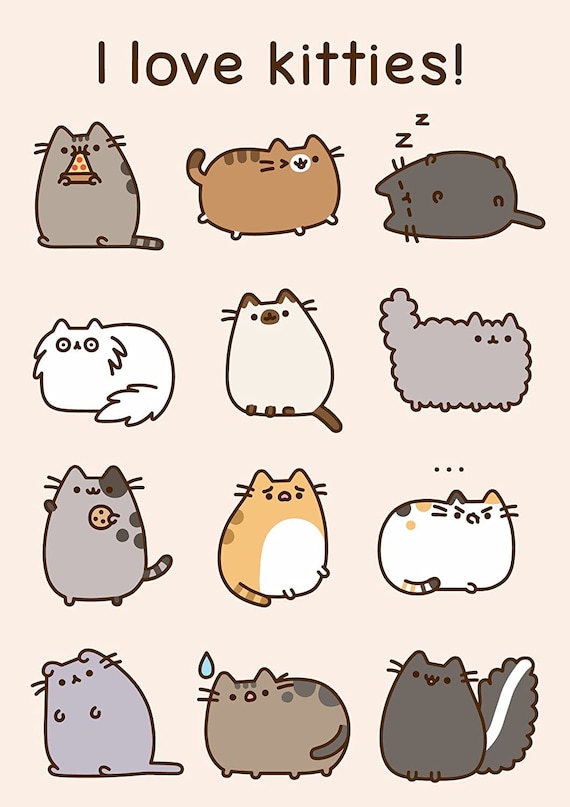 Pusheen the Cat Birthday / All Occasion Blank Card Guide to