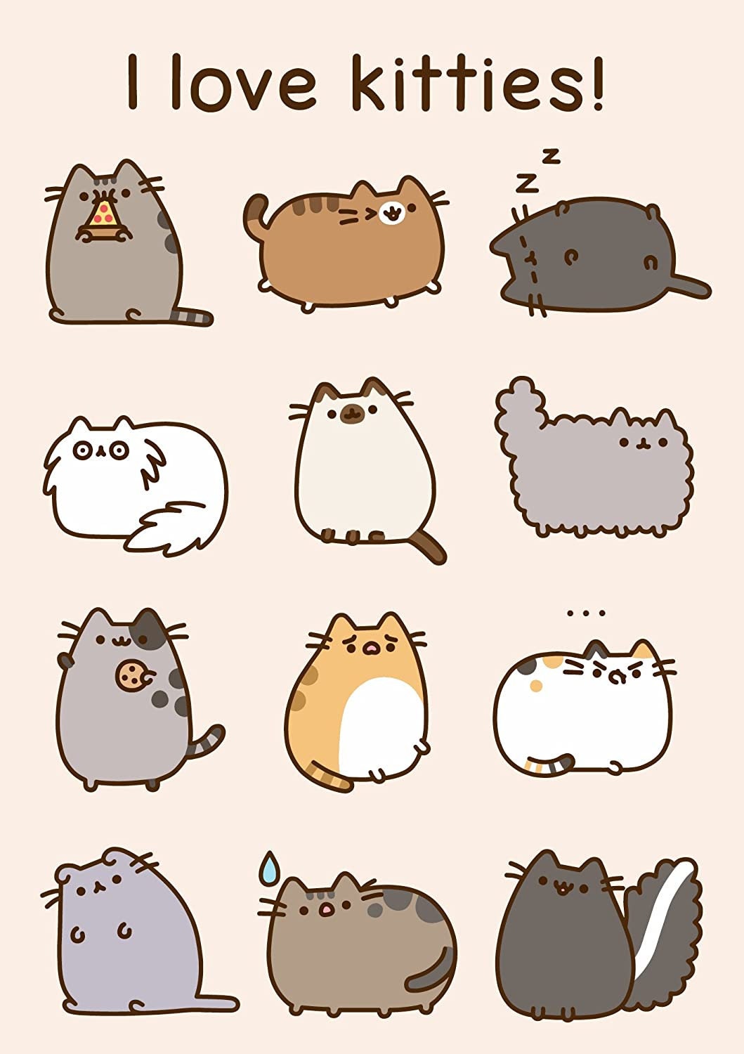 Pusheen the Cat Birthday / All Occasion Blank Card Guide to Selfies,  Understanding Emotions -  Canada