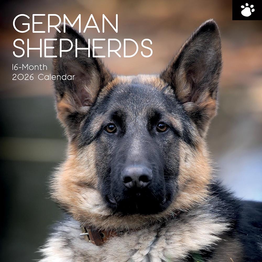 German Shepherds - Dogs - 16 Month 2026 Wall Calendar - Etsy