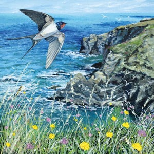 Lucy Grossmith - Coast & Country - DEEP BLUE - carte d'anniversaire vierge / toutes les occasions