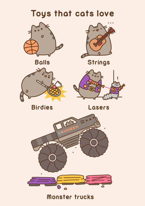 Pusheen the Cat - How To Have a Perfect Birthday - Blank Birthday Card