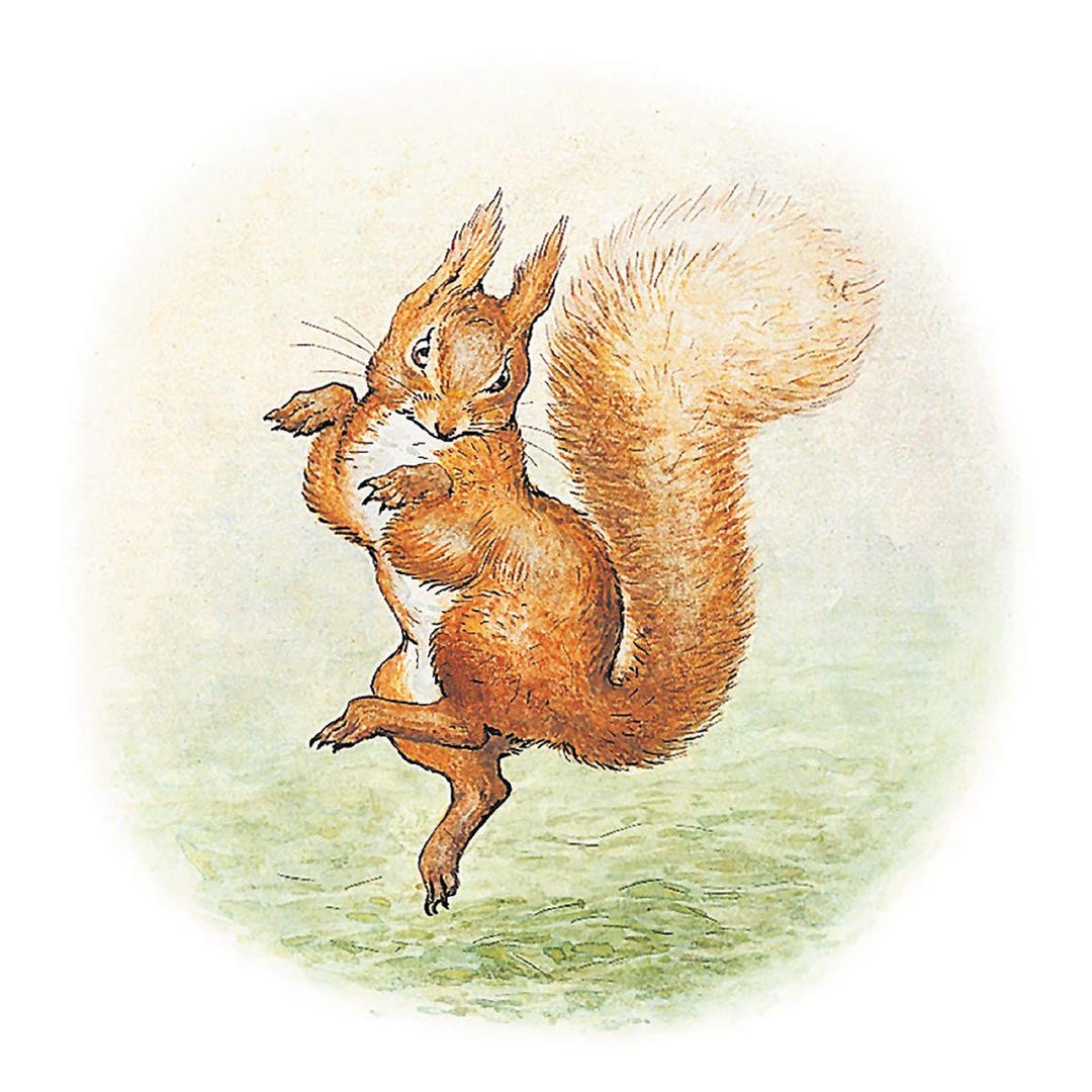 World of Peter Rabbit - Squirrel Nutkin Blank All Occasion Card ...