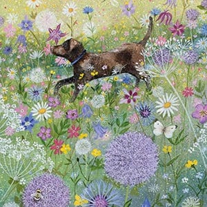 Lucy Grossmith - Coast & Country - Chien dans un jardin d'été - Carte d'anniversaire / toutes les occasions vierge