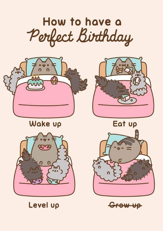 Pusheen the Cat How to Have a Perfect Birthday Blank Birthday Card