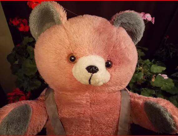 dan dee bear
