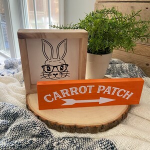 May include: A wooden sign with the text "Carrot Patch" and an orange arrow pointing to the right. The sign is sitting on a wooden slice with a white background. A framed picture of a bunny wearing glasses is behind the sign.
